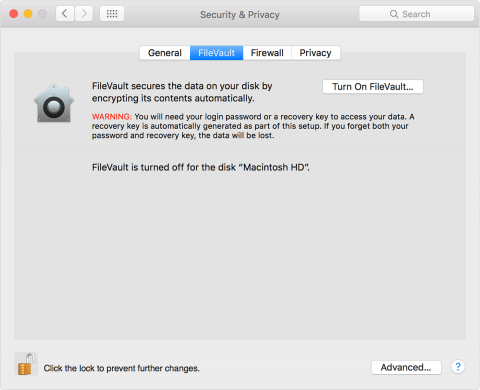 should i turn on filevault disk encryption?