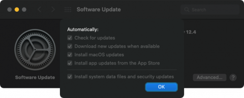 macOS Software Update settings pane options.